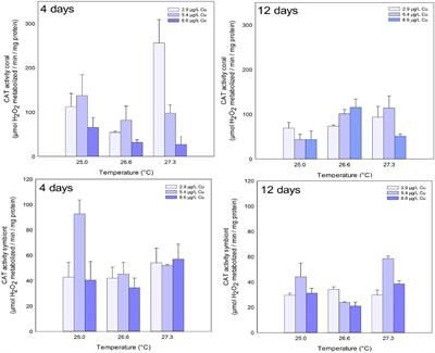 Elevated Temperature and Exposure to Copper Leads to Changes in the Antioxidant Defense System of the Reef-Building Coral Mussismilia harttii
